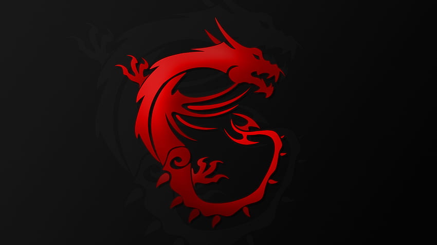 MSI Dragon, Roter Drache 2560X1440 HD-Hintergrundbild