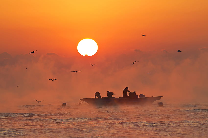 Pescadores, mar, dorado, barco, pájaros, puesta de sol. fondo de pantalla