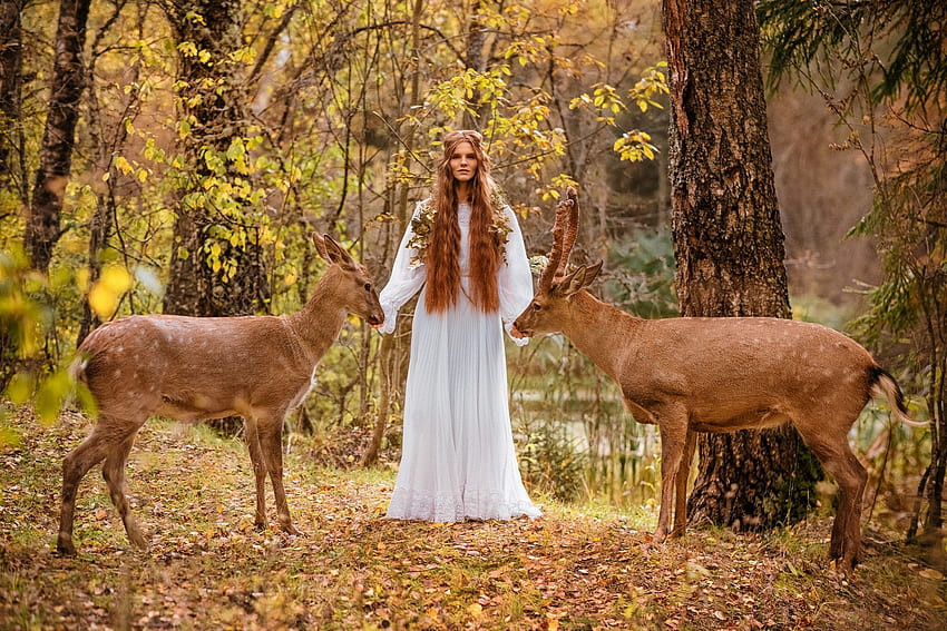 Lady of the forest, aleksandra savenkova, model, deer, autumn, girl, toamna, forest, woman HD wallpaper
