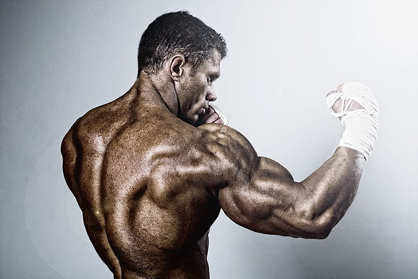 Мъже, трениращи гръбни мускули Човешки гръб Атлетичен бокс HD тапет
