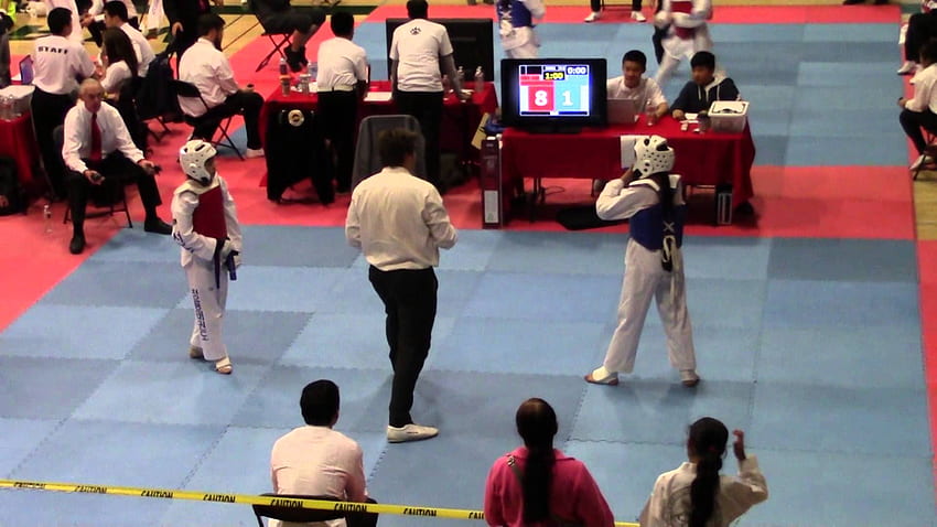 Tet Taekwondo Tournament 13 Year Old Girl Sparring Final, Taekwondo Fighter HD wallpaper