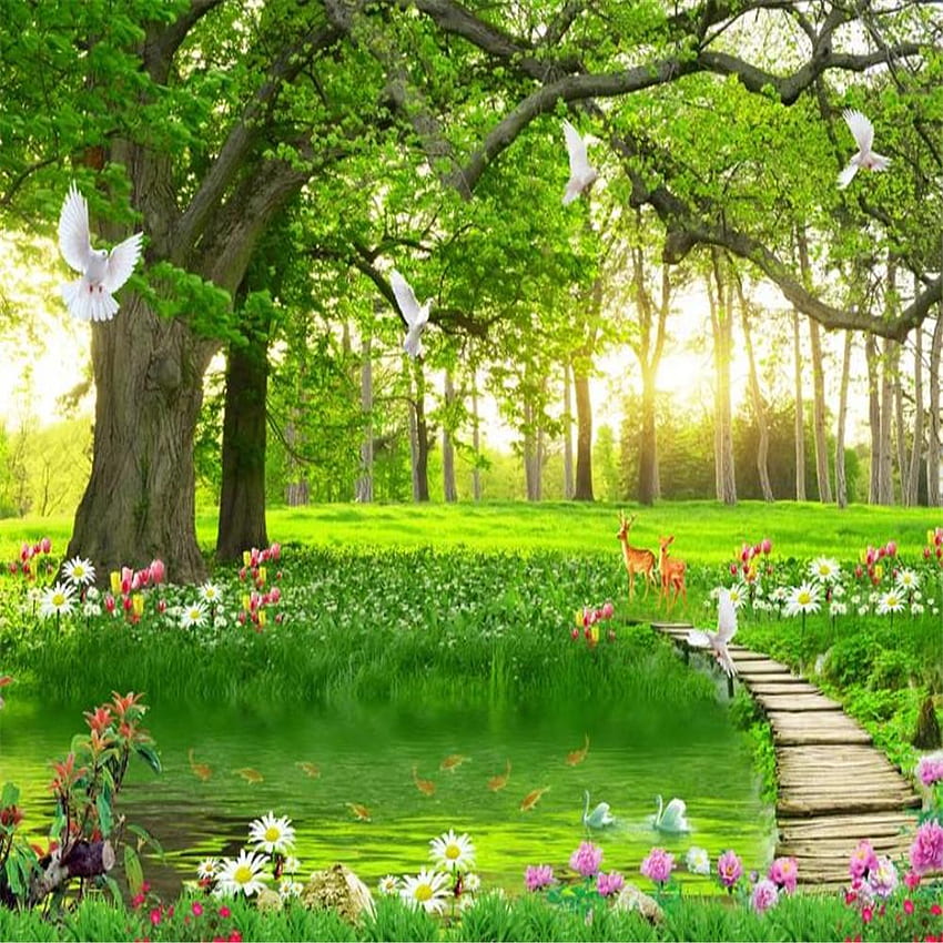 아름답고 단순한 레저 녹색 큰 나무 숲 풍경 아름다운 풍경 나는 이우에서, $5.98 HD 전화 배경 화면