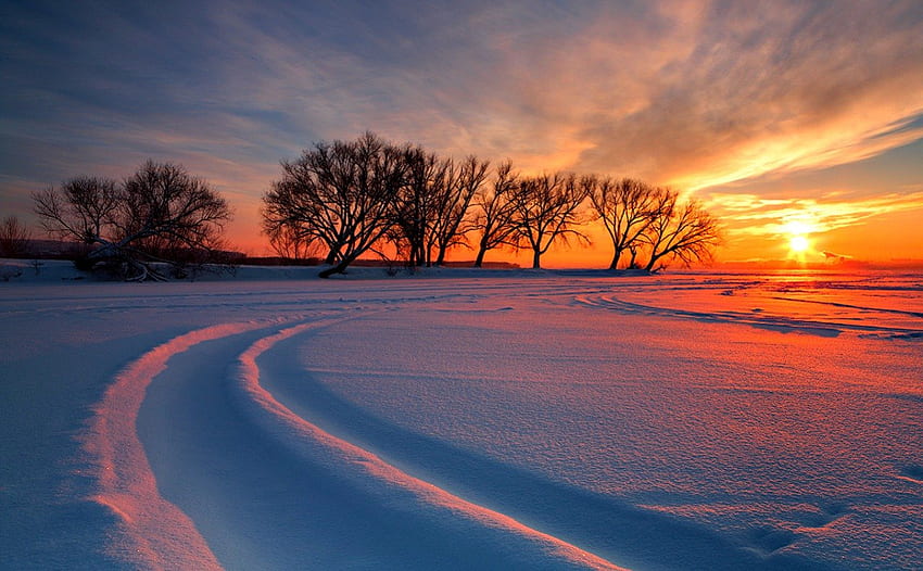 Inverno Tramonto, inverno, neve, nuvole, alberi, cielo, natura, tramonto Sfondo HD