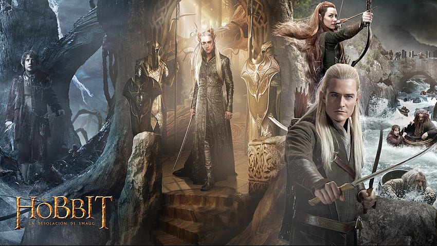 The Hobbit the Desolation of Smaug 13 HD wallpaper | Pxfuel