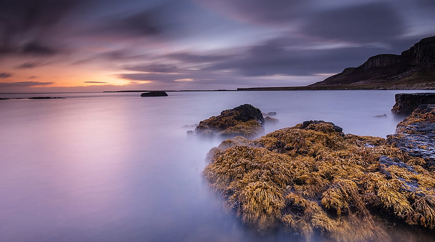 Nature, Stones, Dawn, Bay, Seaweed, Algae, Smooth Water, Smoothness Of The Water HD wallpaper