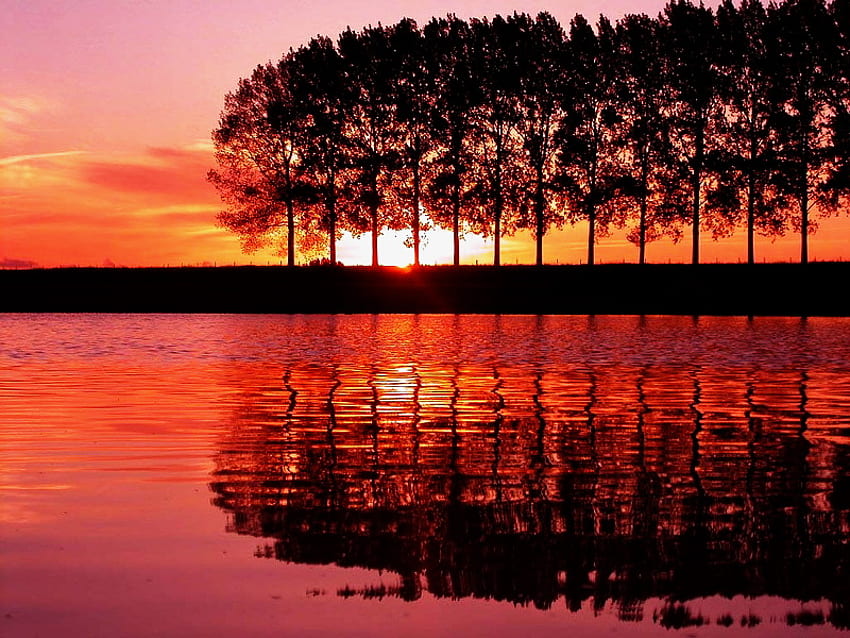 Luce solare tra alberi, fiume, tra, luce solare, bagliore, lago, riflesso, rosso, nuvole, alberi, natura, cielo, acqua Sfondo HD