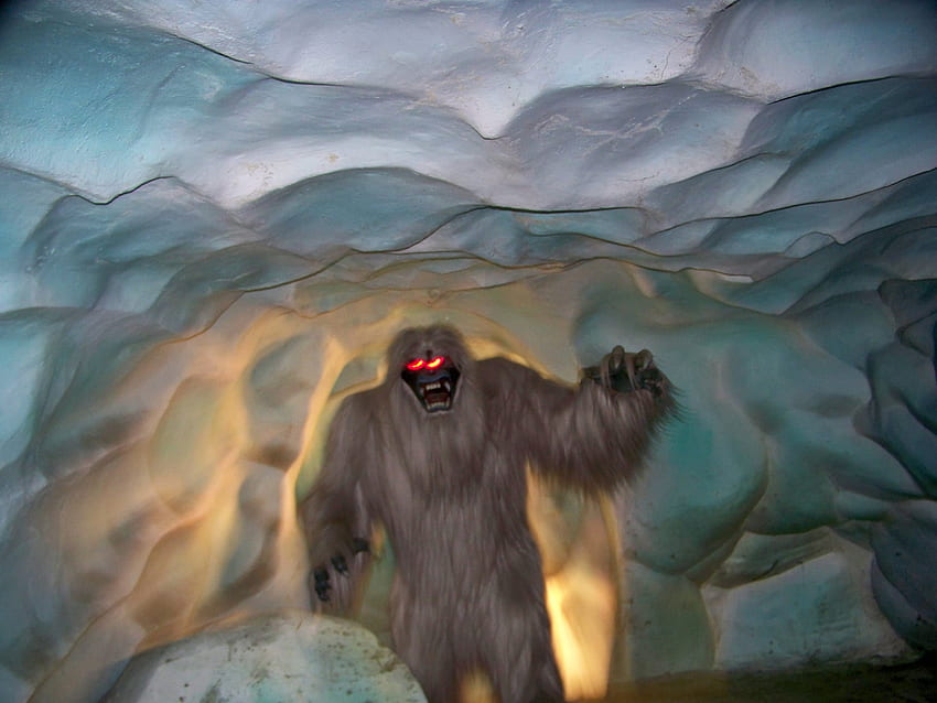 Okropny bałwan na Matterhorn nazywa się Harold. 41 szalonych faktów, których na pewno nie wiesz o Disneylandzie POPSUGAR Smart Living 11 Tapeta HD