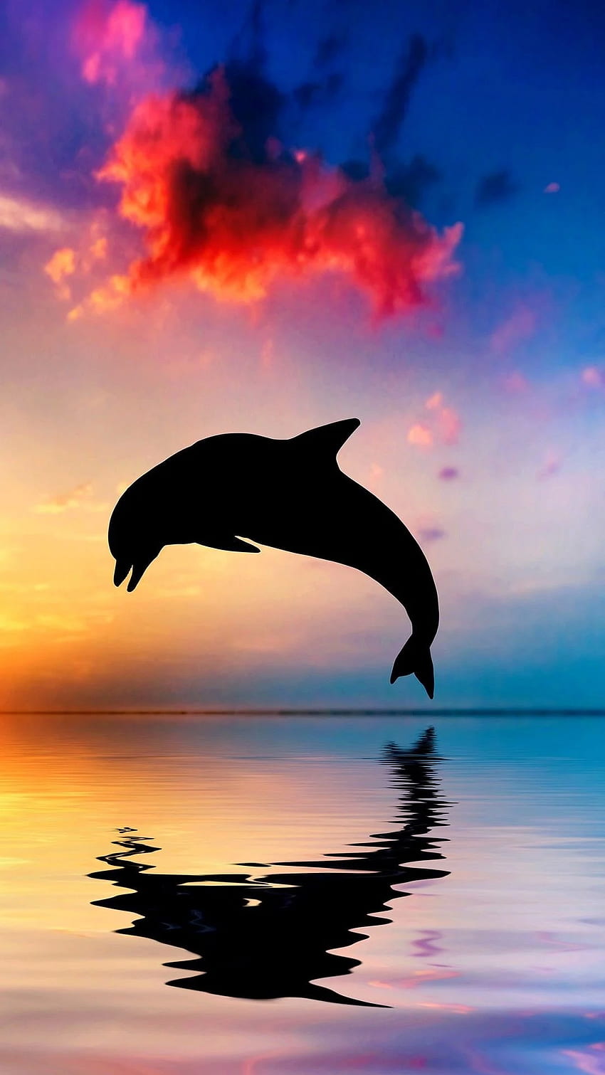 Делфин, сладки бебета делфинчета HD тапет за телефон