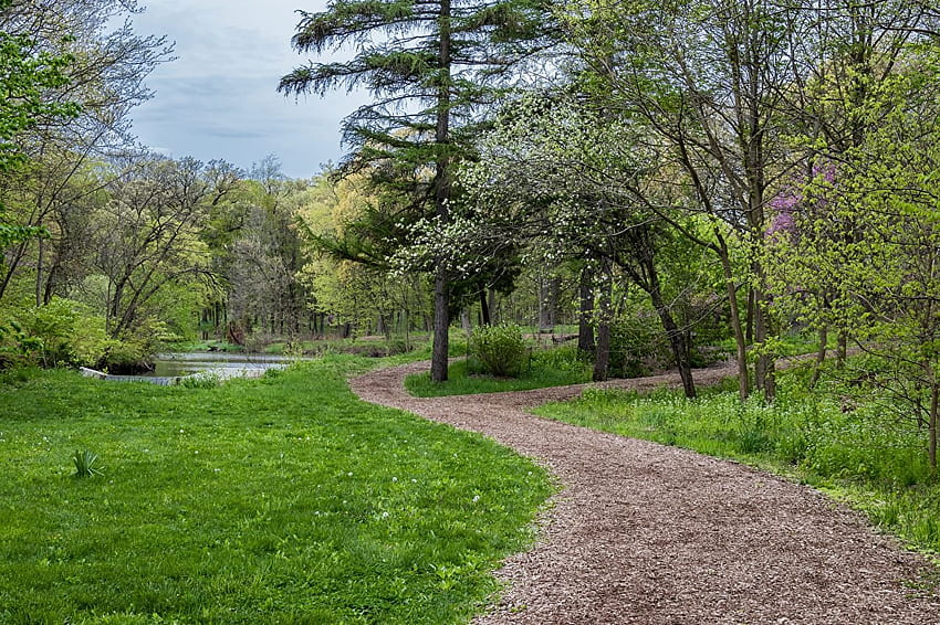 USA Morton Arboretum Lisle Illinois Trail Naturaleza, Camino fondo de pantalla