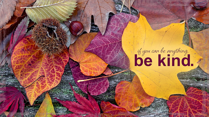 ¡Hola octubre! ( Digital ) - American Greetings, Hello October with Pumpkin fondo de pantalla