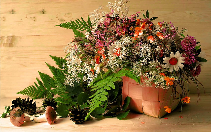 Flowers, Leaves, Cones, Camomile, Mashrooms, Basket, Clover HD wallpaper