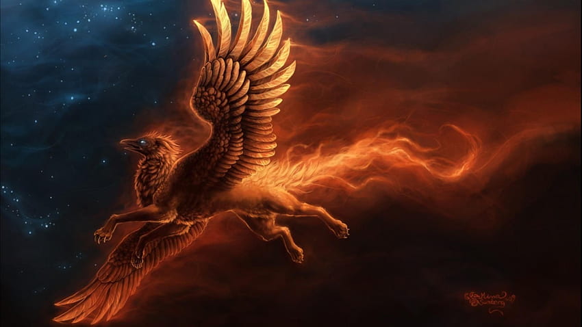 Griffin animal HD wallpapers  Pxfuel