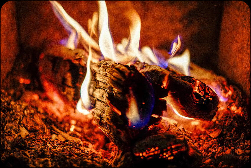Bonfire, Coals, Flame, , , Firewood, Ash HD wallpaper