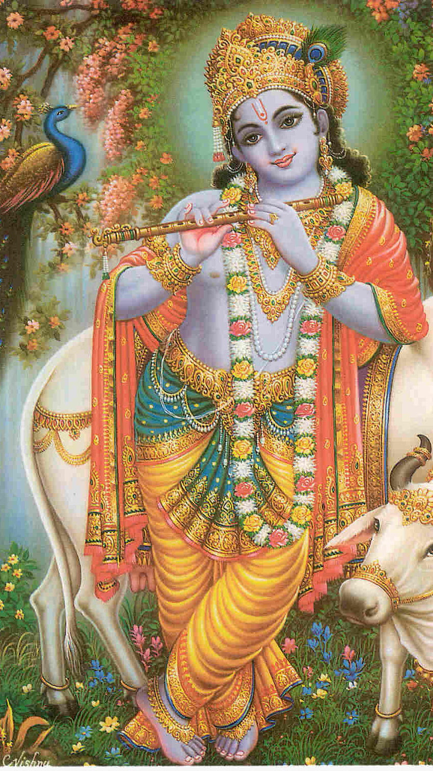 Krishna, Lord Krishna, Kanha, Vishnu Deva, Lord Vishnu, Krishna HD-Handy-Hintergrundbild
