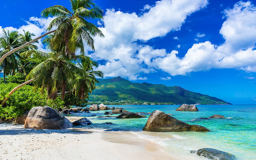 Beautiful Seychelles, ilha, Seychelles, praia, período de férias, areias, oceano, mar, palmas, trópicos, exótico, paraíso, linda, rochas, verão, descanso, nuvens, céu, indiano papel de parede HD