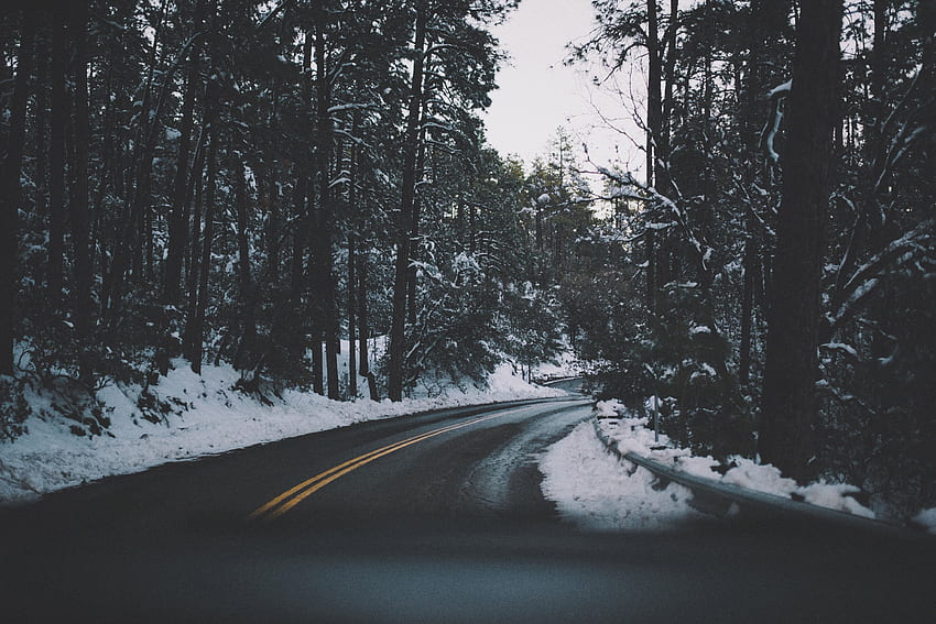 Nature, Trees, Snow, Road, Turn, Asphalt HD wallpaper | Pxfuel