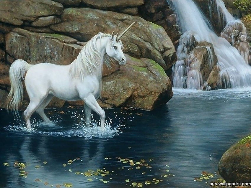 Unicorn paintings, Realistic Unicorn HD wallpaper