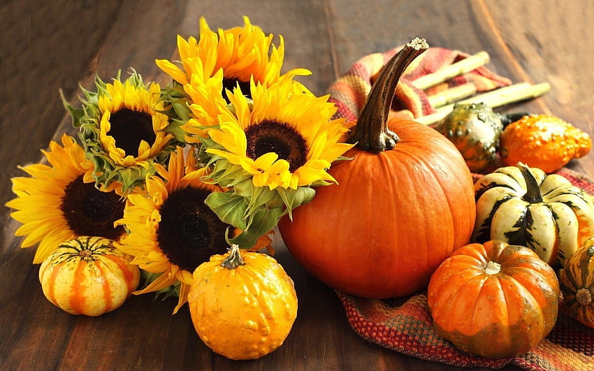 Pumpkin and Fall Flower - at, Best Autumn Flowers HD wallpaper