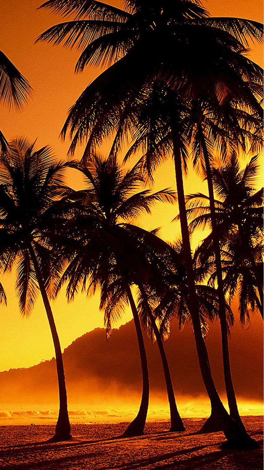 Sonnenuntergang, Himmel, Horizont, Sonnenaufgang, Abendrot, Natur - Verwendung, Scarface Sunset HD-Handy-Hintergrundbild