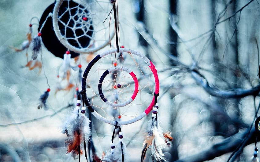 드림 캐처 아메리카 원주민 예술적인 인디언 나무 가지 사지. HD 월페이퍼