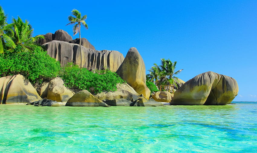 Tropical Paradise, palms, sea, coast, tropical, rocks, beach HD wallpaper