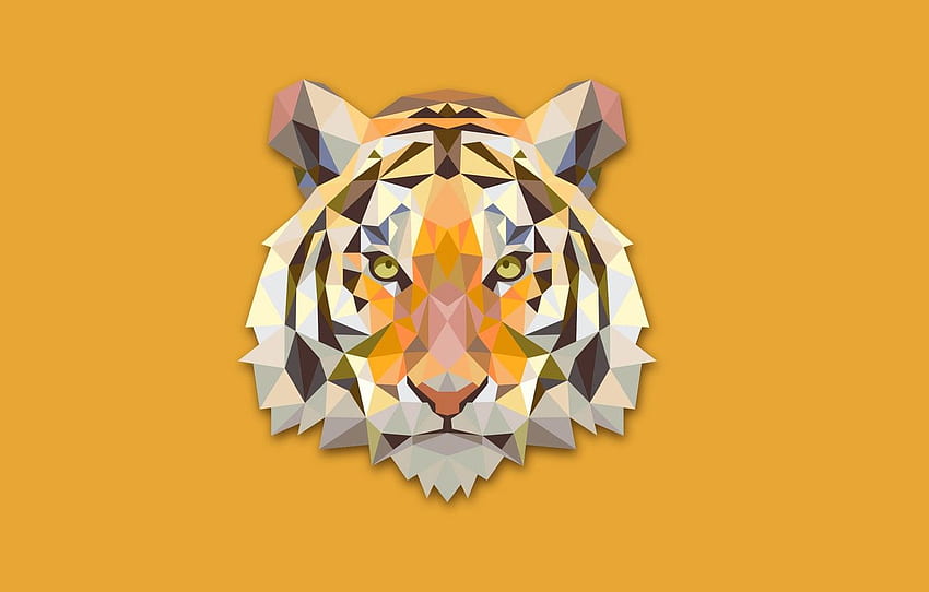 abstraction, tiger, minimalism, head, tiger, Minimalist Tiger HD wallpaper