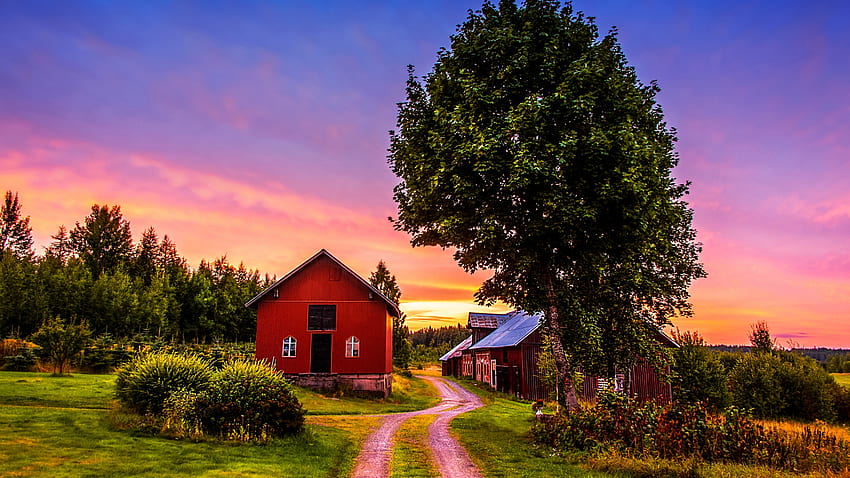 Maison de campagne, route, grange, maison, couleurs, arbres, ciel Fond d'écran HD