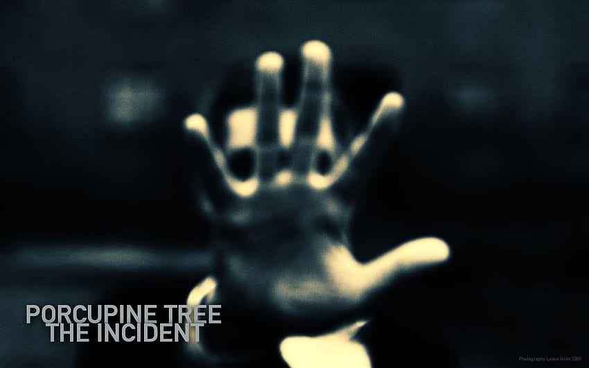 Porcupine Tree Official Website [] for your , Mobile & Tablet. Explore Porcupine Tree . Porcupine Tree , Tree, Tree HD wallpaper