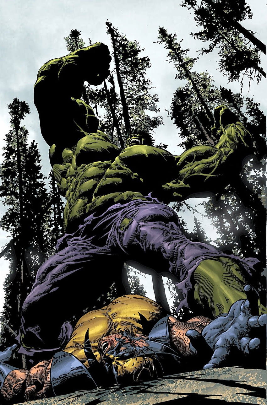 Hulk vs Wolverine - Mike Deodato Jr. Hulk. Hulk HD phone wallpaper
