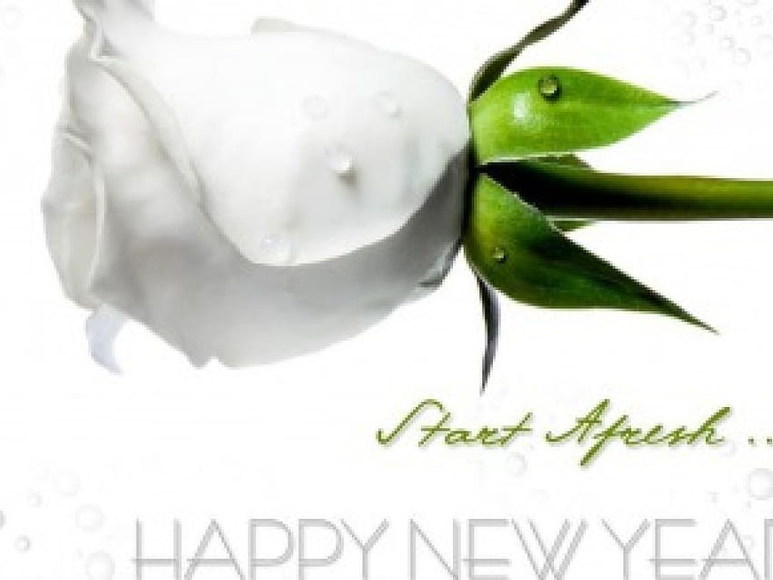 Szczęśliwego Nowego Roku, różo, zacznij od nowa, biała Tapeta HD