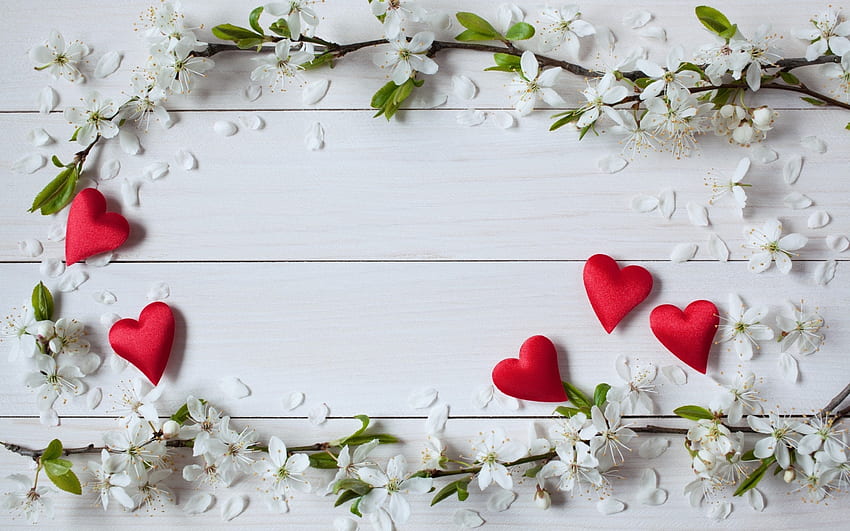 Selamat Hari Valentine!, putih, musim semi, valentine, kayu, bunga, merah, kartu, hati, mekar Wallpaper HD