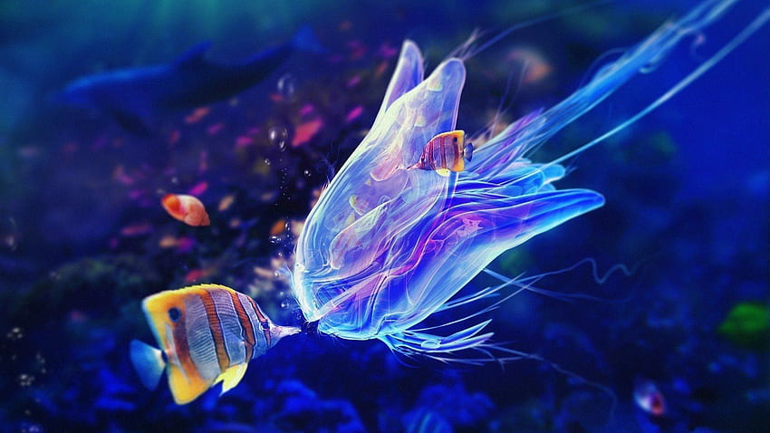 Neon Sealife : : High Definition, Neon Fish HD wallpaper