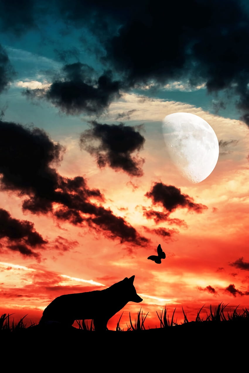 Clouds, Moon, Dark, Silhouette, Butterfly, Wolf HD phone wallpaper