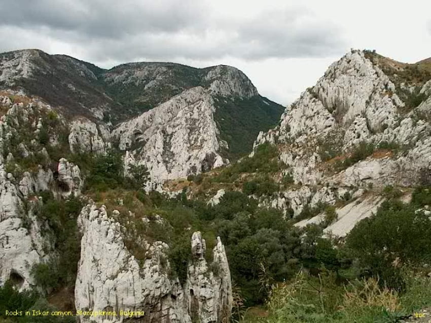 Stara Planina (Old Mountain), graphy, green, bulgaria, trees, rocks, mountain HD wallpaper