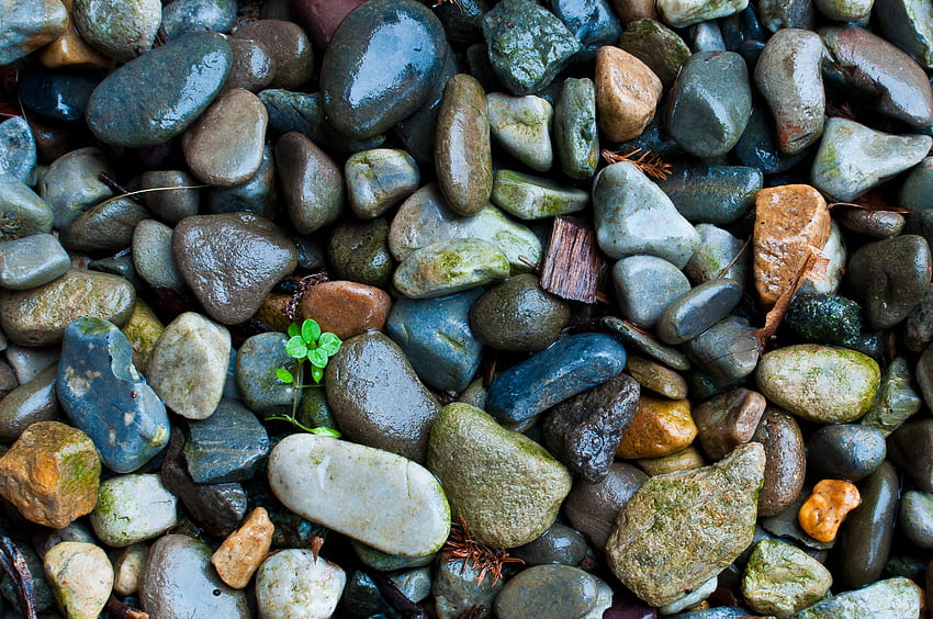 Macro, Pebbles, Stones, Nature, Beach, Sea, Textures / and Mobile  Background, Nature Stone HD wallpaper | Pxfuel