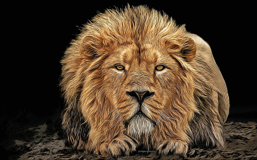 lion, predator, , vector art, lion drawing, creative art, lion art, vector drawing, abstract animals, calm lion, kind lion HD wallpaper