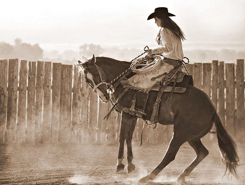 Ride'em Cowgirl, Fence, Horse, Cowgirl, Bucking Tapeta HD