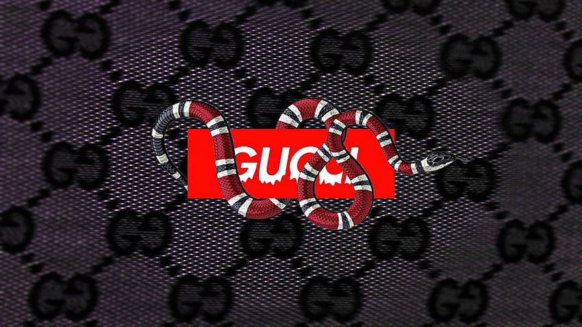 Cool supreme gucci HD wallpapers  Pxfuel