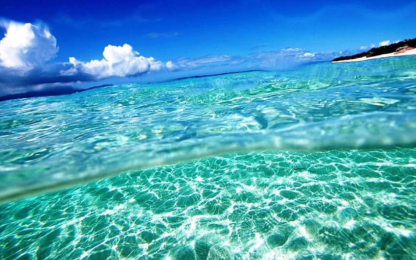전자 상거래 비즈니스 이름. 여름 화면 보호기, 바다, 여름, Windows 여름 HD 월페이퍼