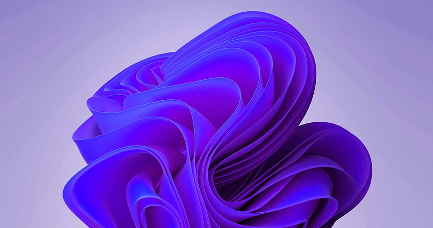 Windows 11 purple HD wallpaper | Pxfuel