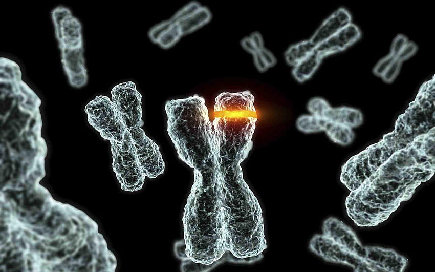 Chromosom Tapeta HD