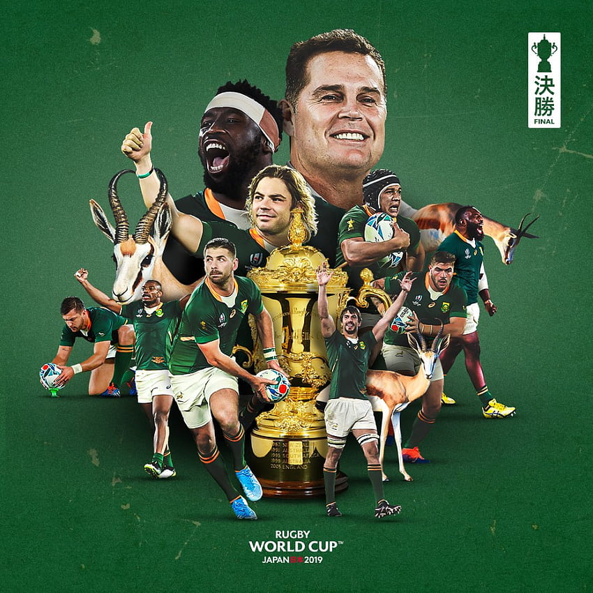 Springboks 1995, South Africa Rugby HD phone wallpaper