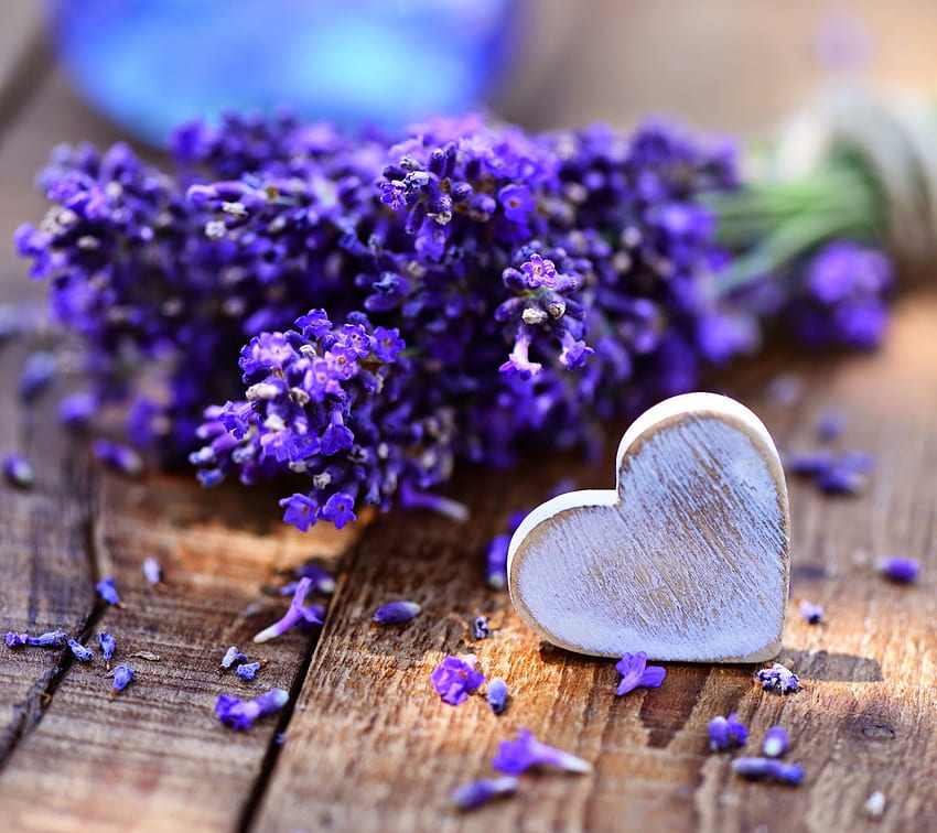 Lavender Love, relaxante, aroma, amor, lavanda papel de parede HD
