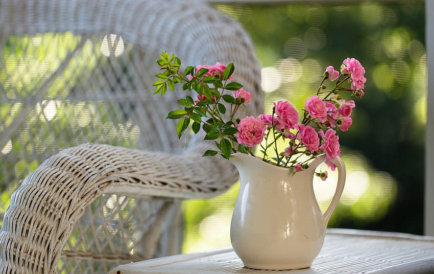 Belle journée, chaise, graphie, roses, rose rose, beau, été, pichet, charmant Fond d'écran HD