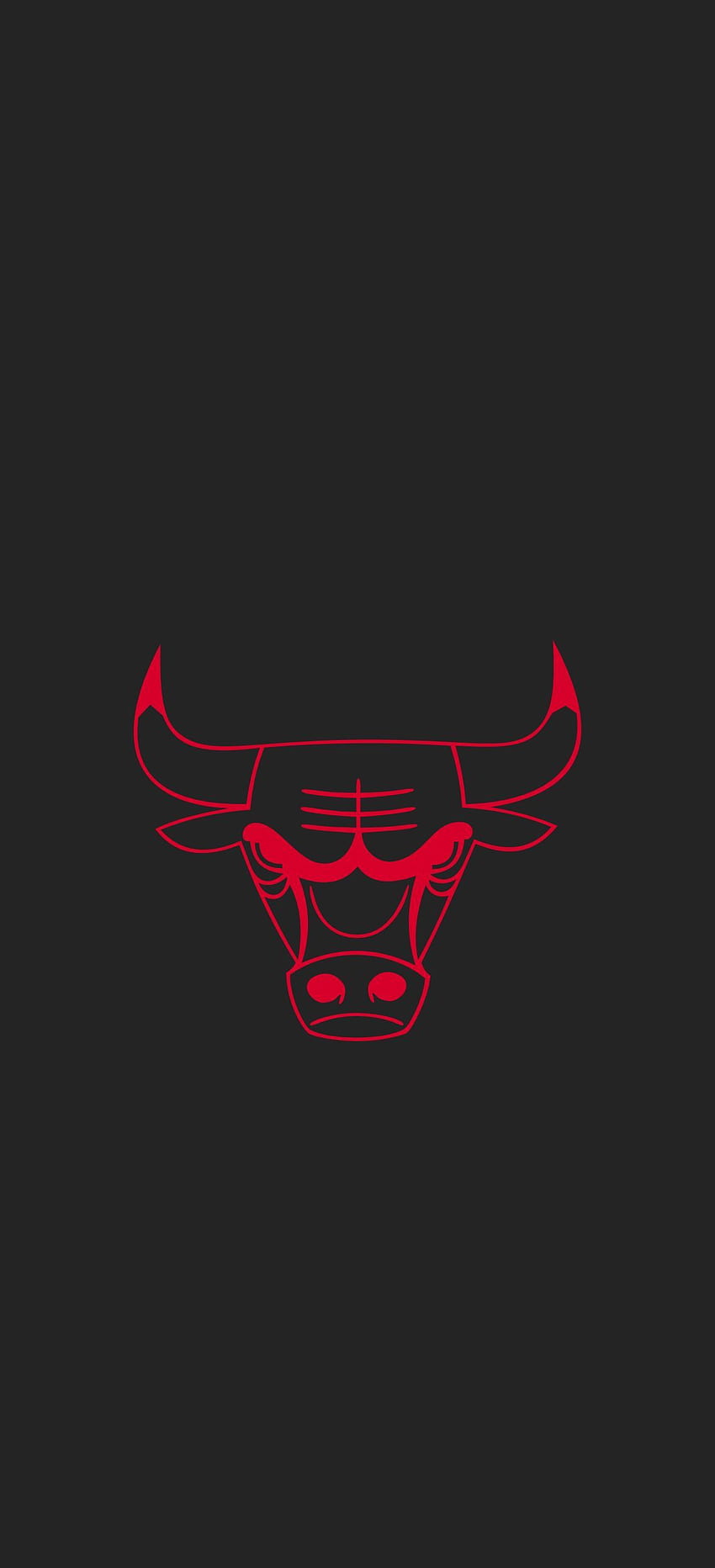 Идеи за лого на Чикаго Булс през 2021 г. Лого на Чикаго Булс, Чикаго Булс, лого на Бик HD тапет за телефон