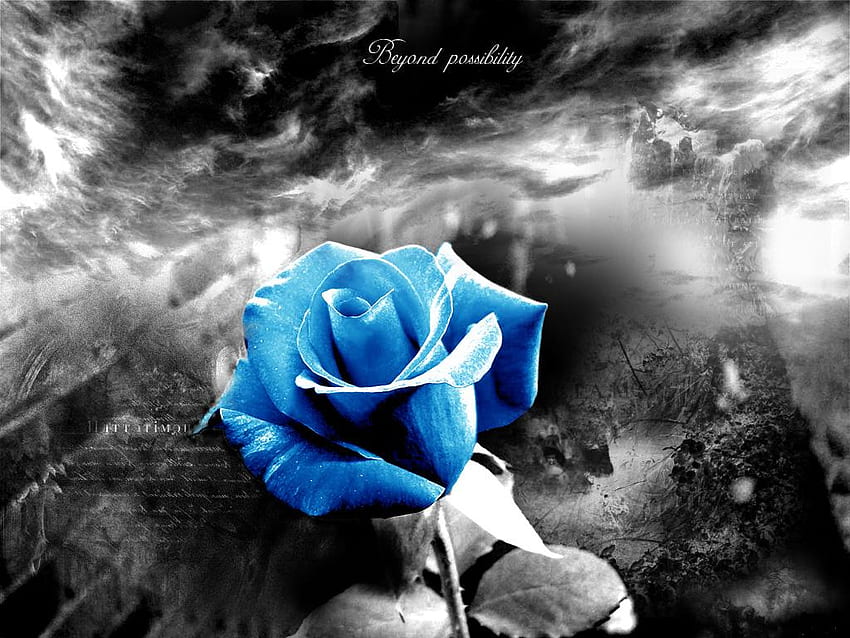 Beyond Possibility, blue, speranta, imposibil, possibility, rose, hope, trandafir, beyond, albastru HD wallpaper