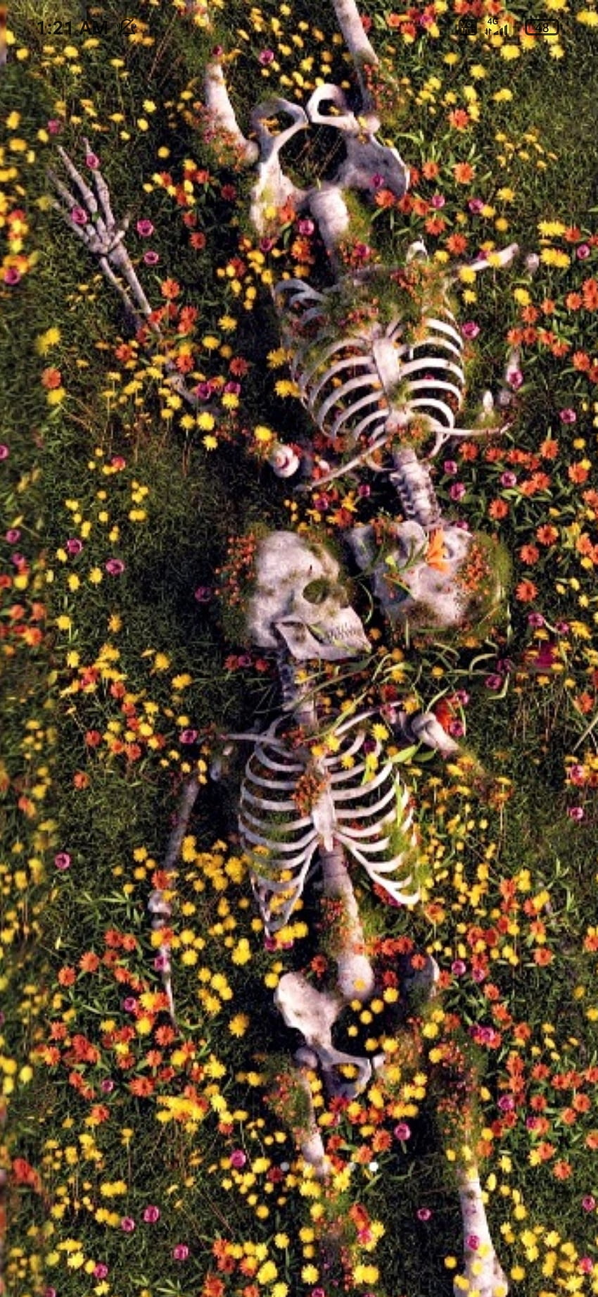 Skeleton Love, broken, Die, couple, Dead, grass HD phone wallpaper