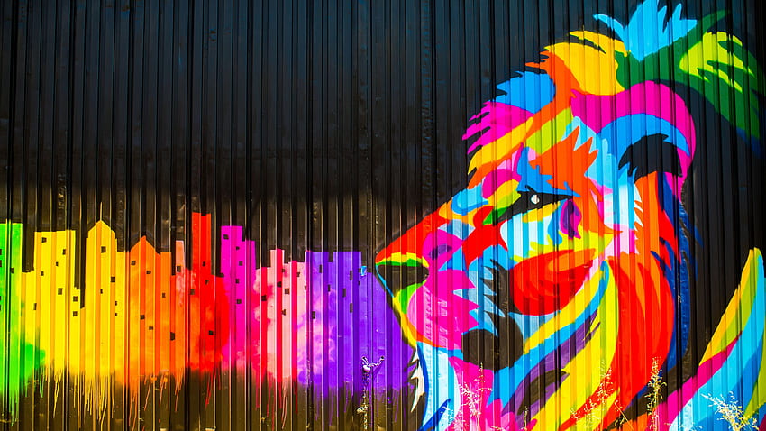 Lion Graffiti , , Artist HD wallpaper