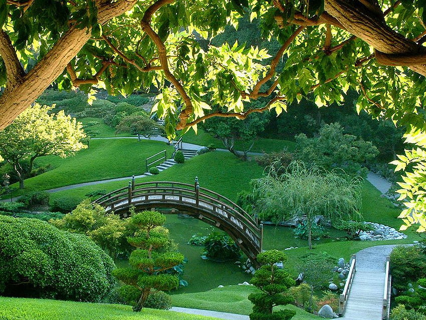 3.1. EL MONJE. Splendidi giardini, giardino giapponese, giardino verde, giardino della meditazione Sfondo HD