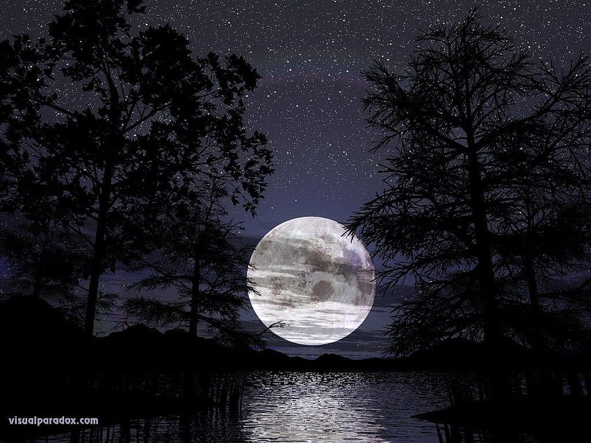 lune - Bing . Nuits Insolites, Bing Moon HD wallpaper